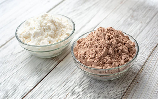 Comparing Collagen Protein vs Whey Protein